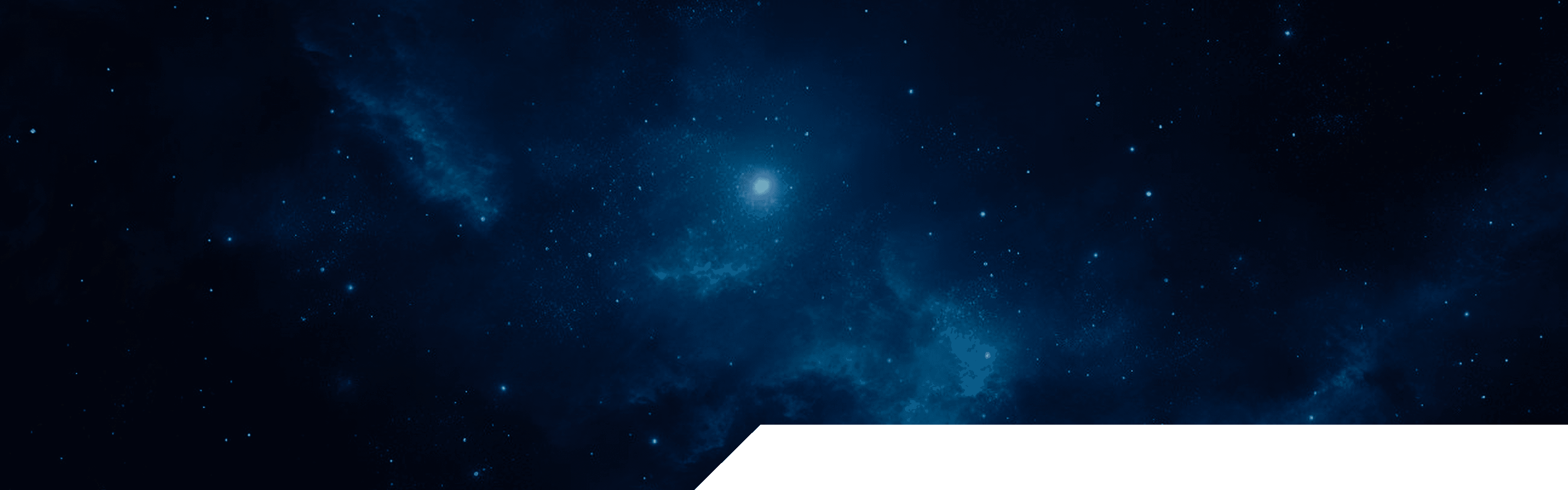 Terms and Conditions